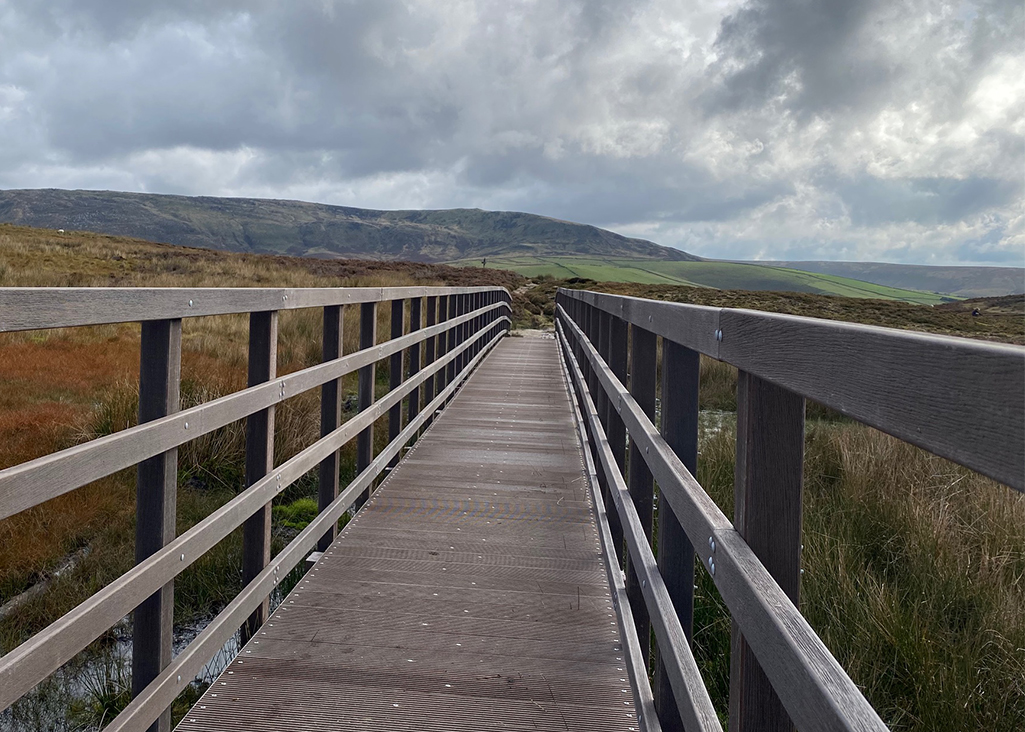 PolyBridge | Beaver Bridges