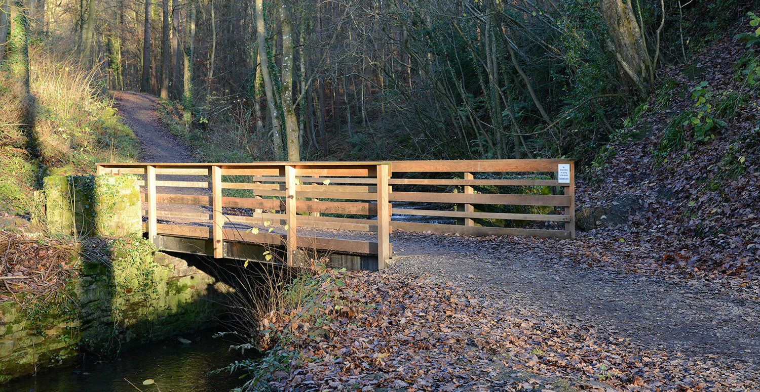 Barnard Castle | Vehicle Bridge | Beaver Bridges