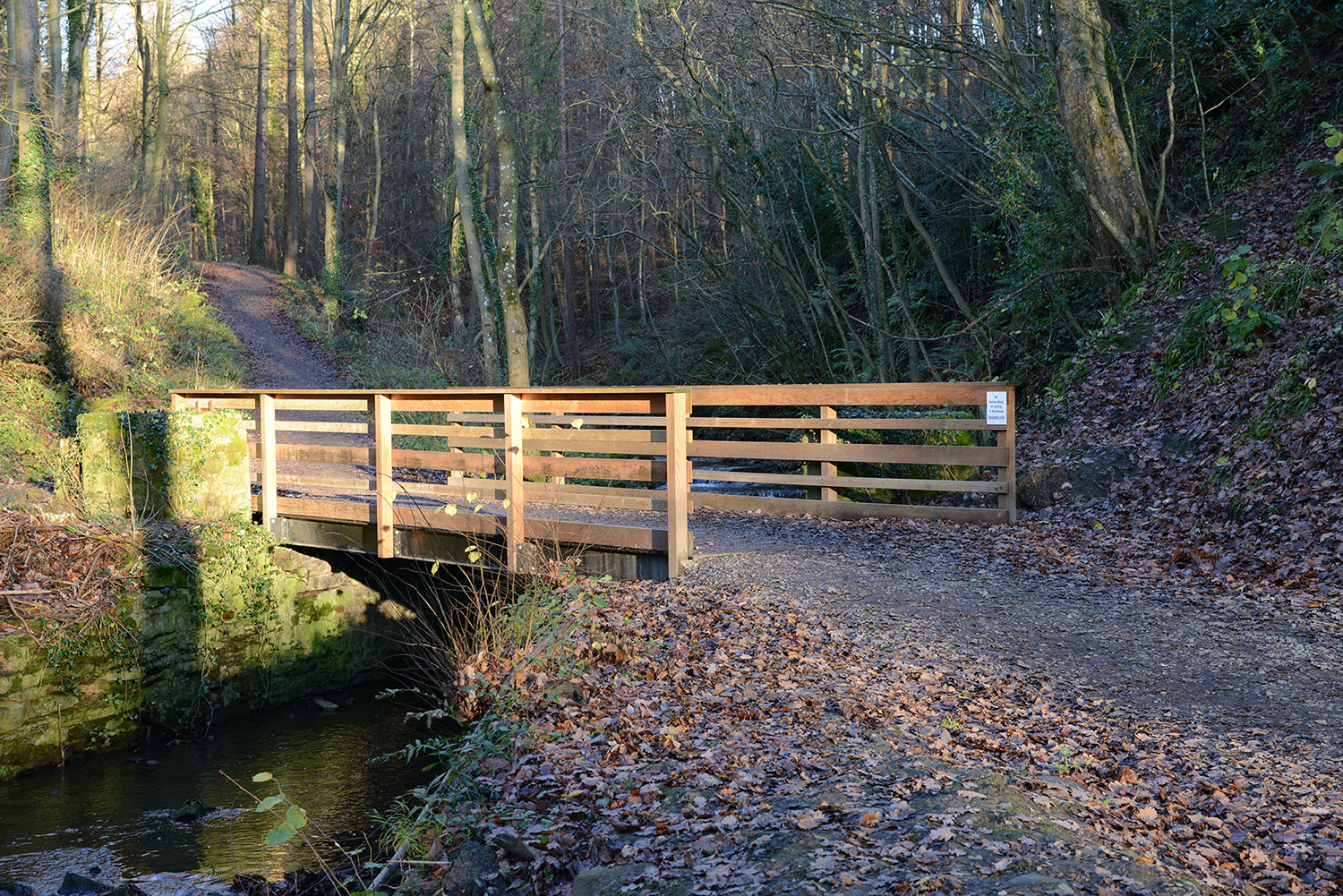 Barnard Castle | Vehicle Bridge | Beaver Bridges